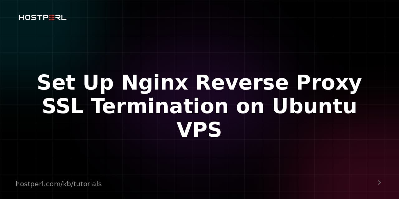 Set Up Nginx Reverse Proxy SSL Termination on Ubuntu VPS