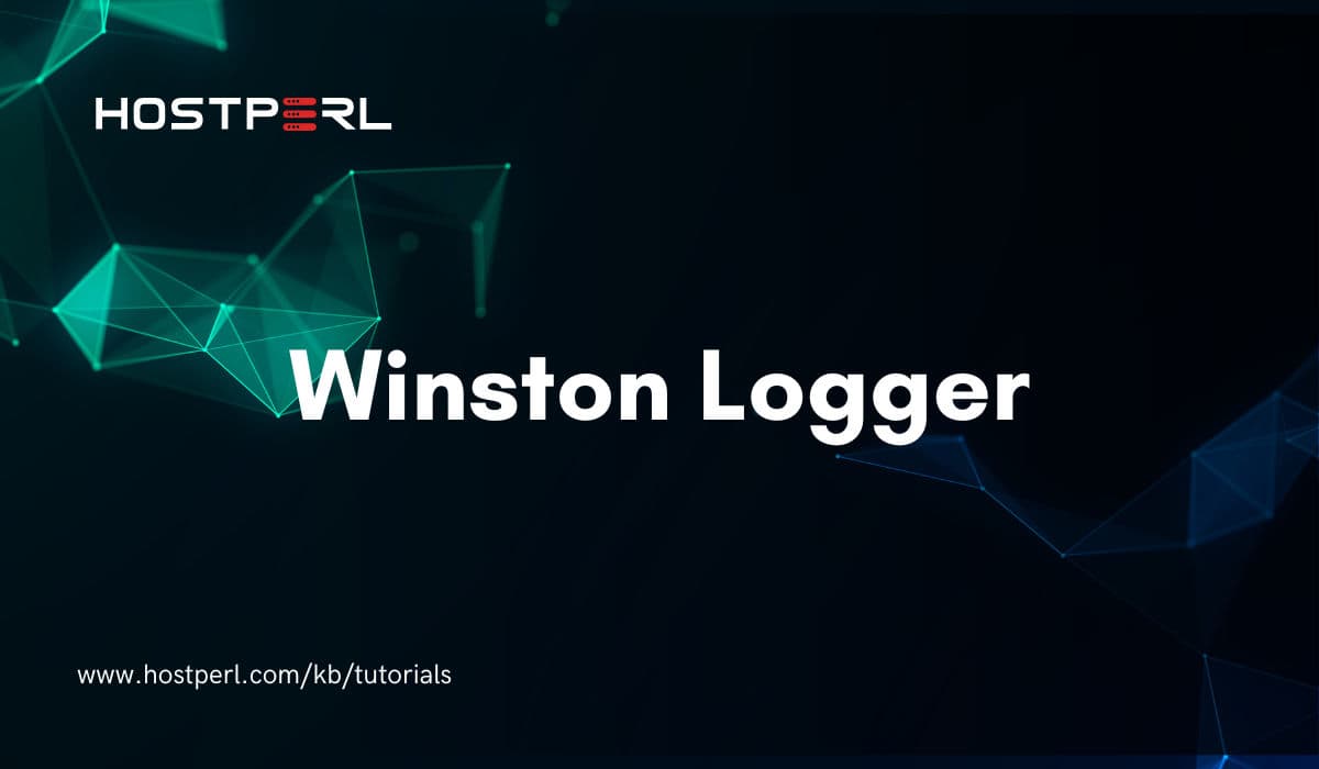 Use Winston Logger in Web Applications